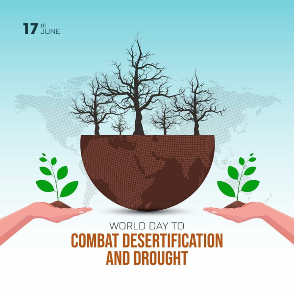 Unlocking land restoration opportunities: Aviation’s role in combating desertification and drought