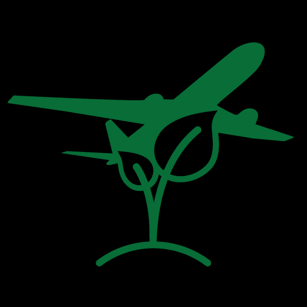 ICAO’s Strategic Goals explained: Achieving net-zero carbon emissions by 2050 